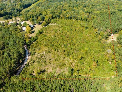 317 Hidden Leaf Trail, Nacogdoches, TX 75964 - photo 5