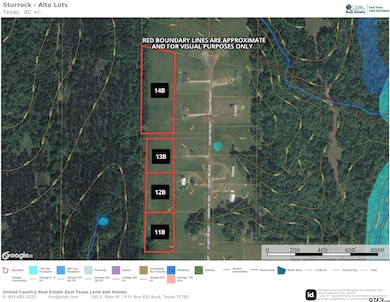 13B  / TBD Old Spanish Trial Dr, Alto, TX 75925 - photo 6