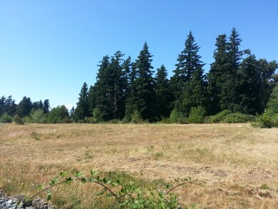 0 Dodd St, Blaine, WA 98230 - photo 7