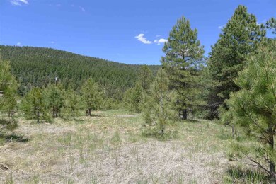 9 Copper Canyon Ct unit 12++, Cloudcroft, NM 88317 - photo 7