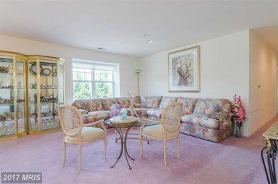 4600 Alcott Way unit 205, Owings Mills, MD 21117 - photo 4