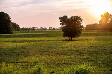 0 Leath Rd unit LotWP001 24553817, Counce, TN 38326 - photo 7