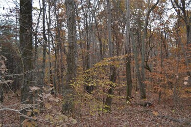 15 Acres N Carolina Highway 704 E, Sandy Ridge, NC 27046 - photo 5
