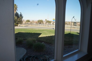 DSC01113