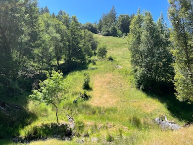 38555 Hauser Bridge Rd, Cazadero, CA 95421 - photo 6