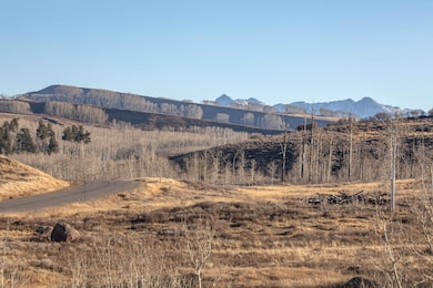0 Cornerstone Trail unit Lot 2, Montrose, CO 81403 - photo 2