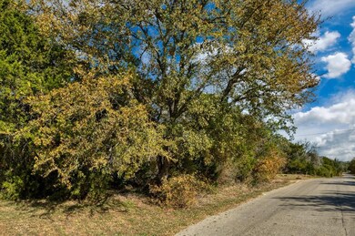 13 Lake Country Dr, Granbury, TX 76049 - photo 5