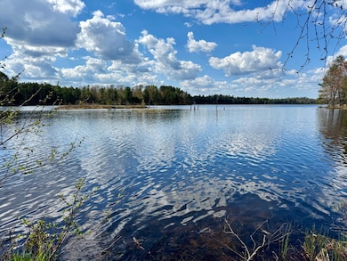 4731 E Flowage Rd, Conover, WI 54519 - photo 6