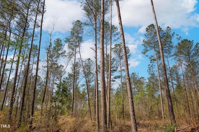 0 N Carolina 903 unit 23512591, Greenville, NC 27834 - photo 7