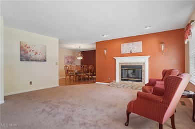 10502 White Ash Trail, Twinsburg, OH 44087 - photo 5