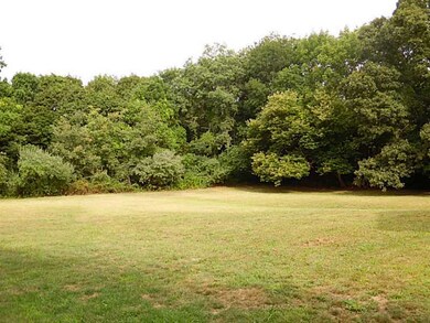 Yard/Garden.