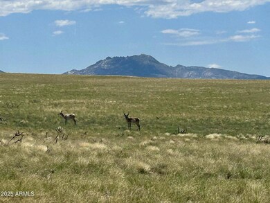 TBA E Lot 40-A1 Off of E Norma -- unit 40-A1, Prescott Valley, AZ 86315 - photo 2