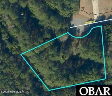 109 Betsy Ct unit Lot 7, Grandy, NC 27939 - photo 5