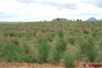 0 Road S 7 Lot unit 8 739516, Cortez, CO 81321 - photo 3