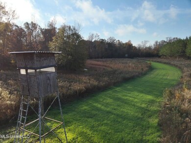 0 Paradise Rd, Bentonia, MS 39040 - photo 3