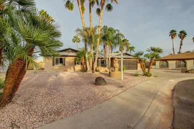 Front with Palms