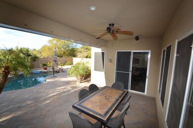 Back Yard 2