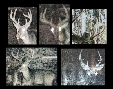 335 Beaverdam Rd, Camden, MS 39045 - photo 7