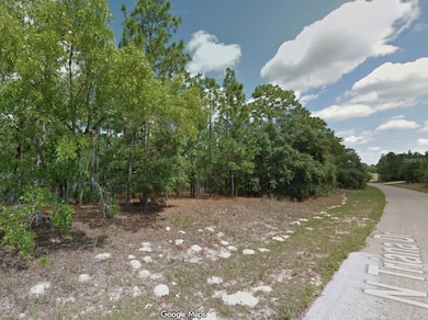 8100 N Triana Dr, Citrus Springs, FL 34434 - photo 5