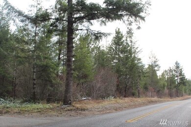 61 W Lot On Fish Hatchery Rd, Matlock, WA 98541 - photo 2