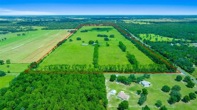 19355 SW 25th Place, Dunnellon, FL 34431 - photo 3