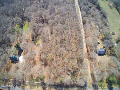 0 Burnett Rd unit 158759, Byron, GA 31008 - photo 5