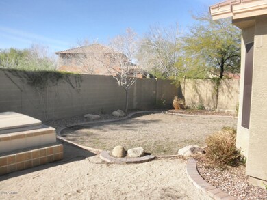 Backyard1