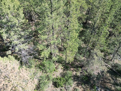 0 Sandpiper Ln unit 2300, Beatty, OR 97621 - photo 2