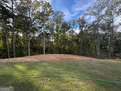 3360 Trevi Trail unit 14, Douglasville, GA 30135 - photo 5