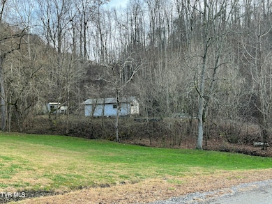 529 Stallard Lawson Cemetery Ln, Fort Blackmore, VA 24250 - photo 4