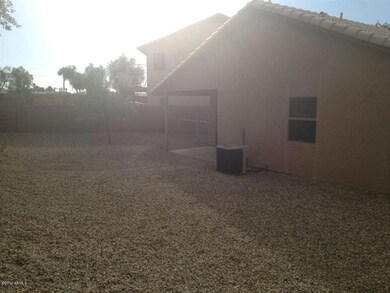 back yard