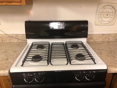 Gas Stove