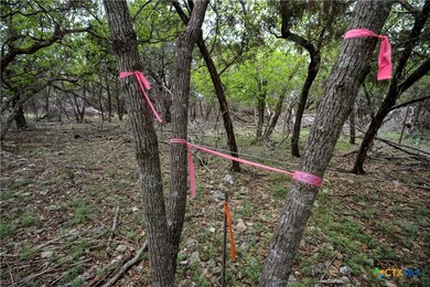 15920 Charlya Dr, Temple, TX 76502 - photo 2