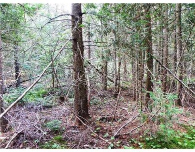 Land/Lot. interior