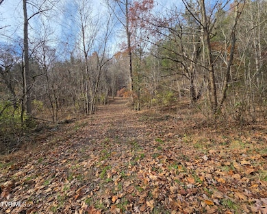 355 N Austin Springs Rd, Piney Flats, TN 37686 - photo 5