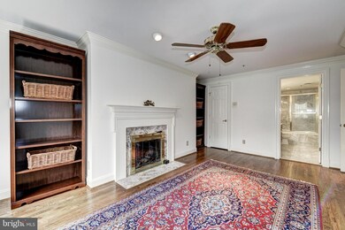 452 S Union St unit 10, Alexandria, VA 22314 - photo 5