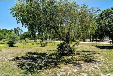Front yard looking to street