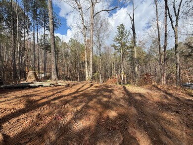Lot 4 Parksville Rd, Benton, TN 37307 - photo 5