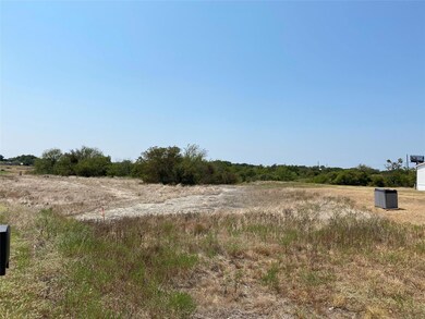 138 Carter Hills Ln, Weatherford, TX 76085 - photo 6