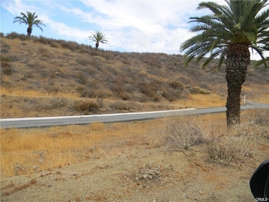 0 Lakeview Ave unit SW25273842, Lake Elsinore, CA 92530 - photo 3