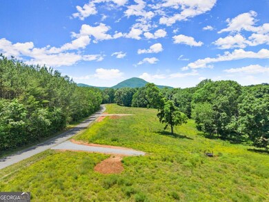 0 Arthur Allen Rd unit 10646087, Cleveland, GA 30528 - photo 7