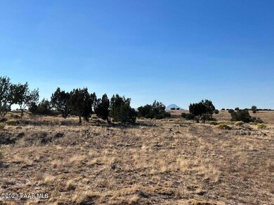 Ne4 117 Juniperwood Ranch, Ash Fork, AZ 86320 - photo 5