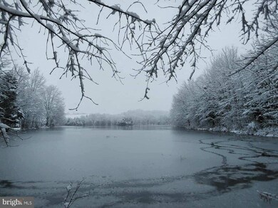 19716 Fort Valley Rd, Strasburg, VA 22657 - photo 2