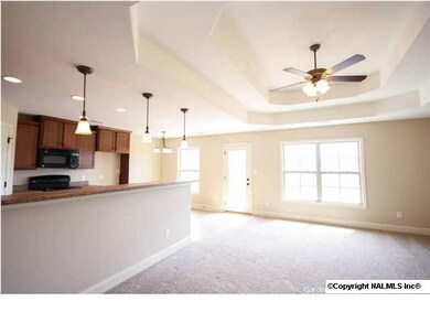 Large Open Floor plan - high trey ceilings.