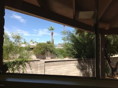 Beautiful view from kitchen window