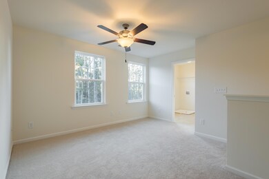 409 American Goldfinch Way, Moncks Corner, SC 29461 - photo 4