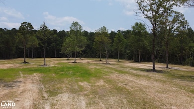 0 Steed Creek Rd unit 25684026, Huger, SC 29450 - photo 7