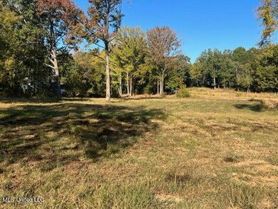 Lot 28 Love Station Loop, Hernando, MS 38632 - photo 2