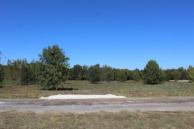 TBD Deerfield Ln, New Boston, TX 75570 - photo 3