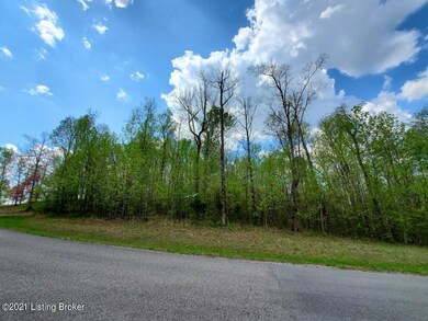 67R Patriots Landing Ln, Falls of Rough, KY 40119 - photo 5